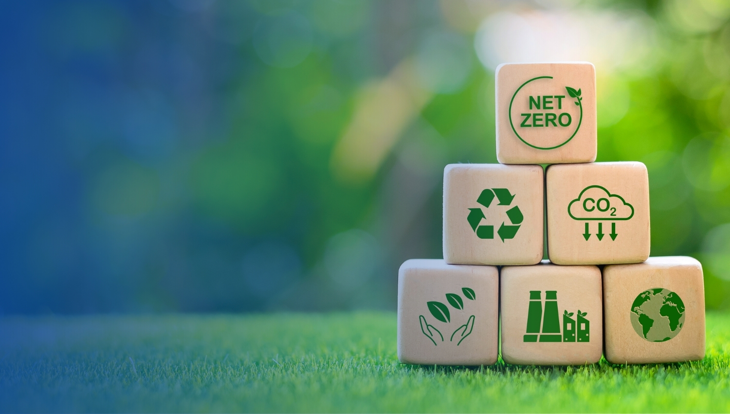 banner-hero-trang-dich-vu-phat-thai-carbon