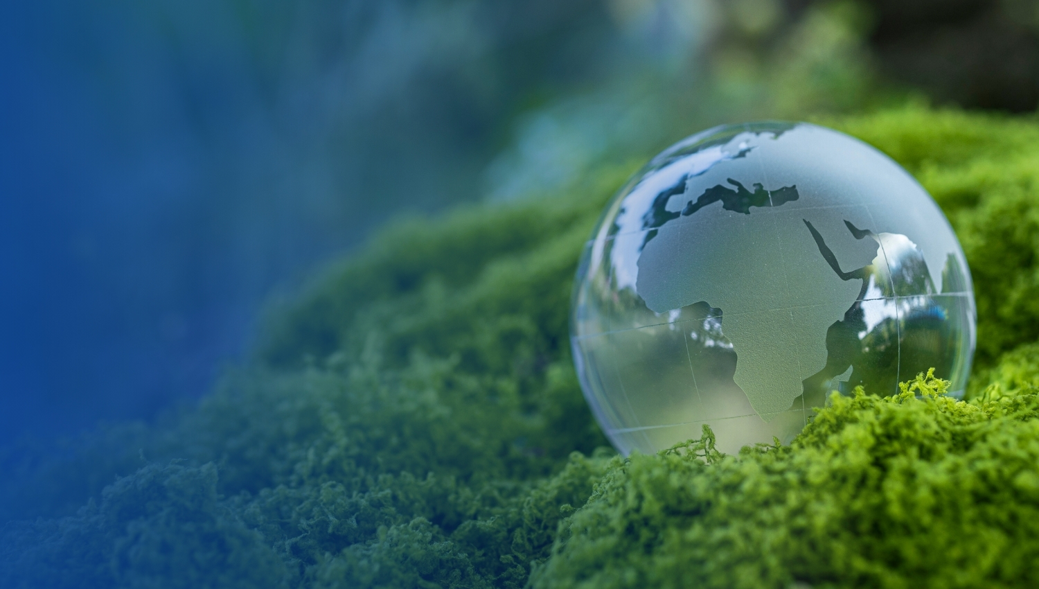 trang dịch vụ báo cáo ESG SHARIAH