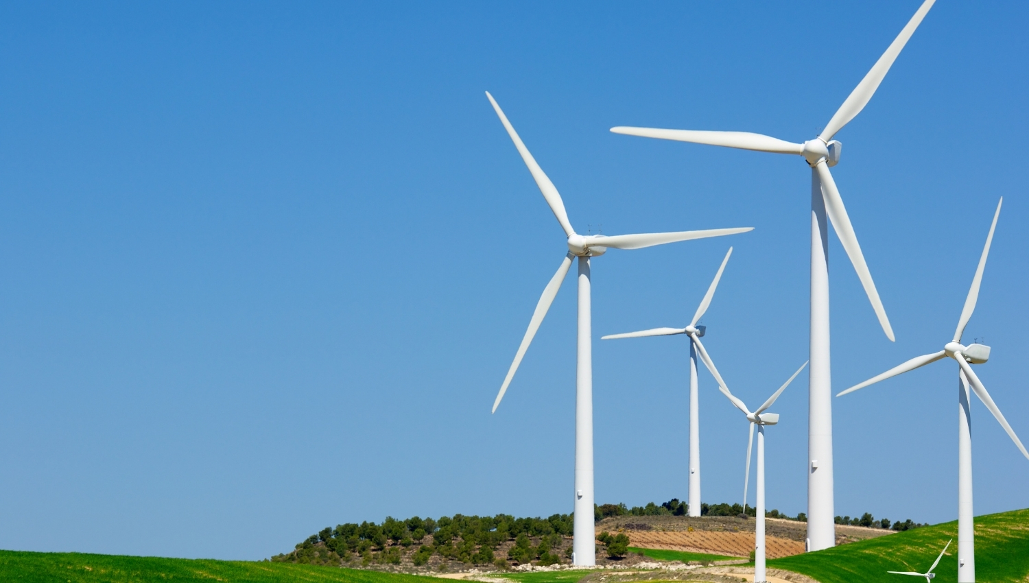 hieu-qua-trang-dich-vu-50001