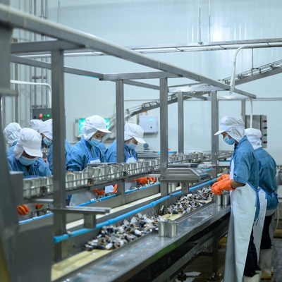 loi-ich-trang-dich-vu-iso-45001 (2)