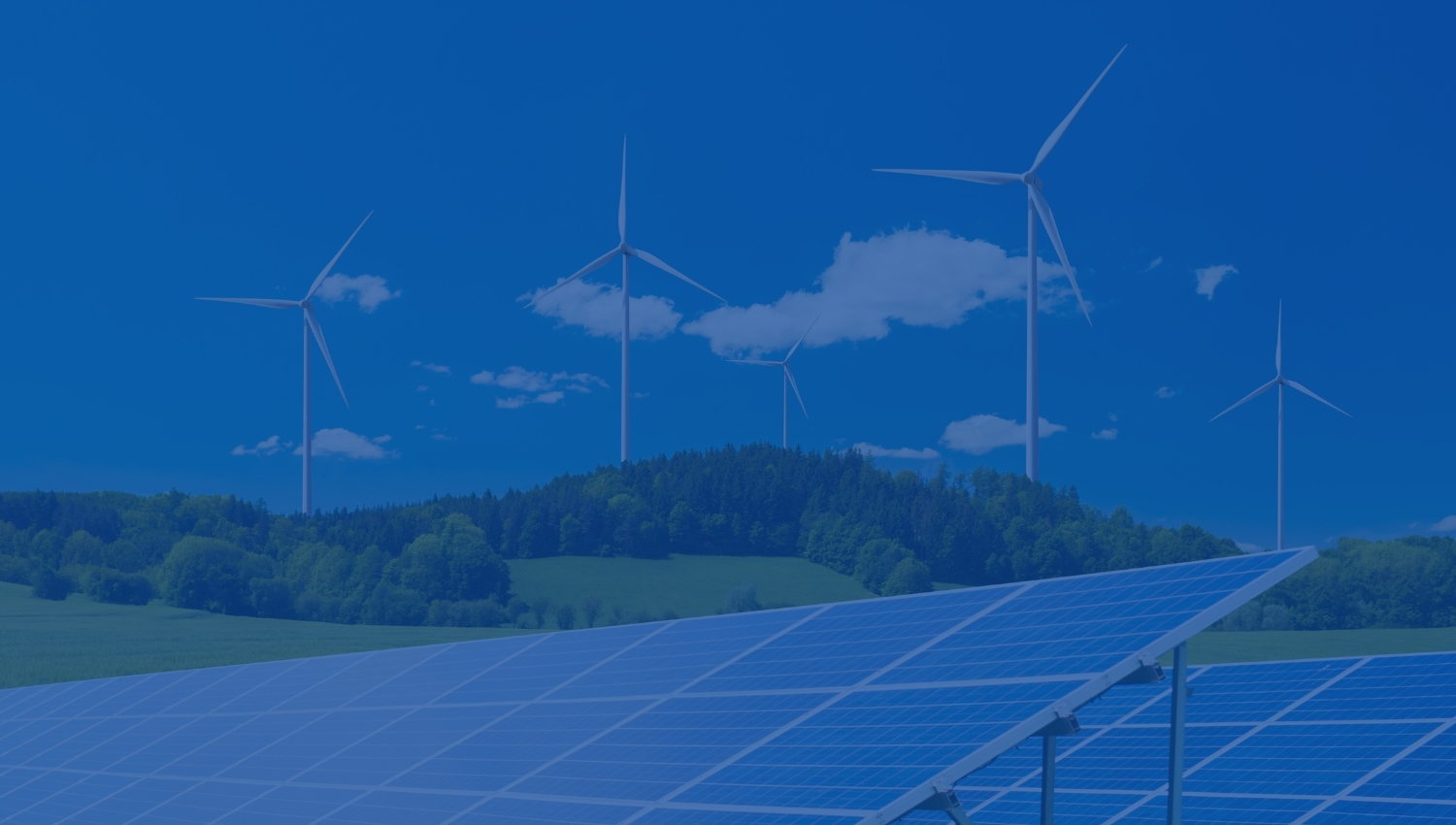 phien-ban-tieu-chuan-trang-dich-vu-50001