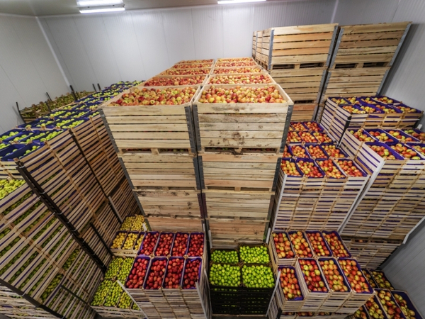 section-doi-tuong-trang-dich-vu-iso-22000-haccp-fssc (2)