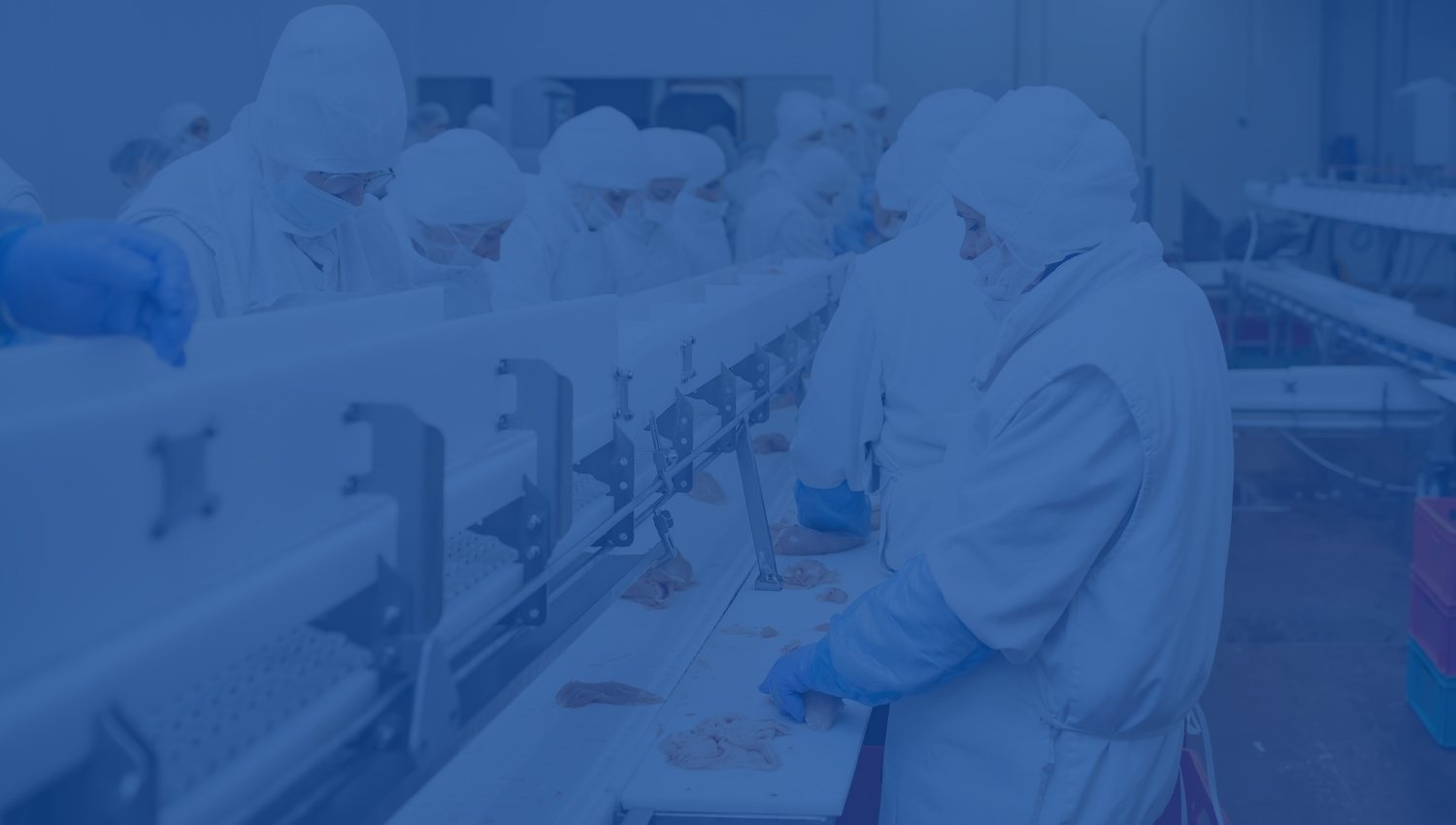 y-nghia-trang-dich-vu-iso-22000