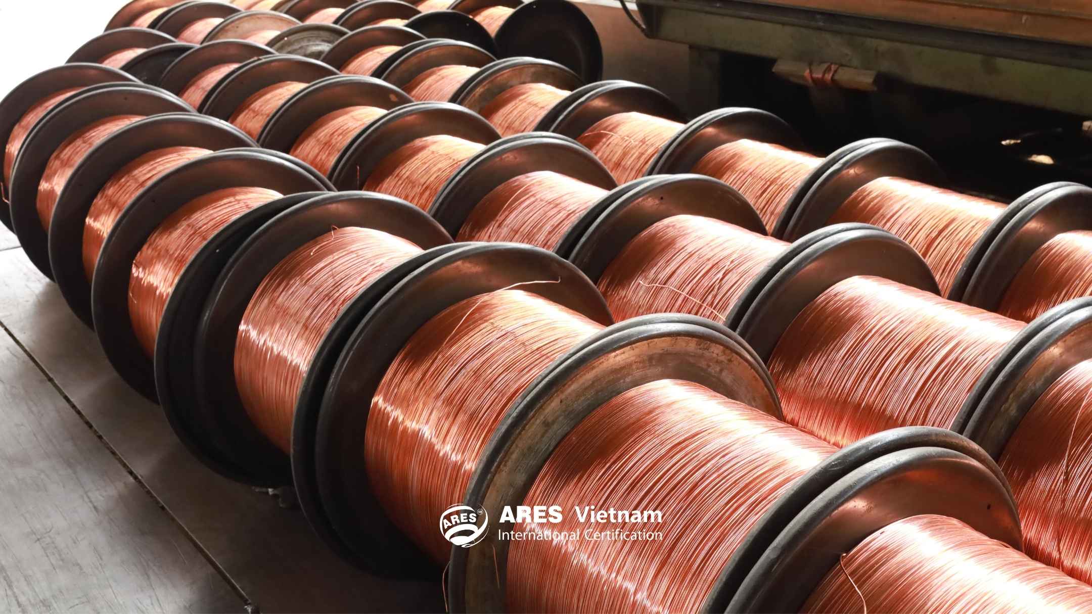 danh-gia-chung-nhan-iso-14064-1-tai-cong-ty-co-phan-dien-cap-taya-viet-nam (1)