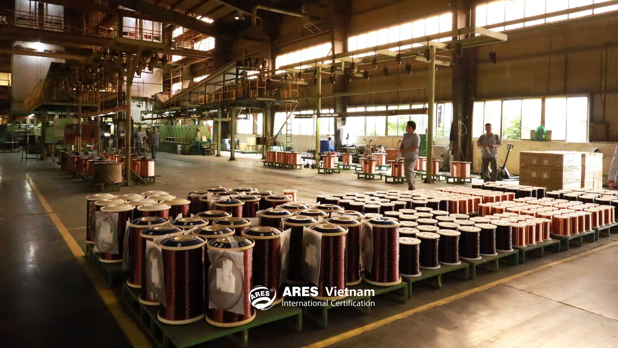 danh-gia-chung-nhan-iso-14064-1-tai-cong-ty-co-phan-dien-cap-taya-viet-nam (2)