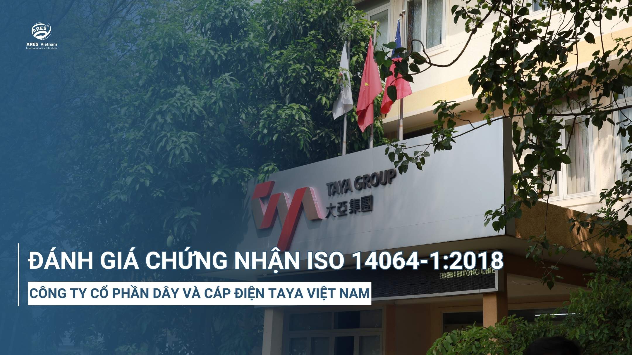 danh-gia-chung-nhan-iso-14064-1-tai-cong-ty-co-phan-dien-cap-taya-viet-nam